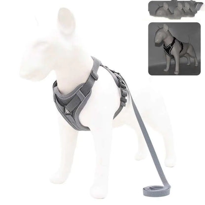 Anti-Strike Pet Vest Harness for Small/Medium Dogs