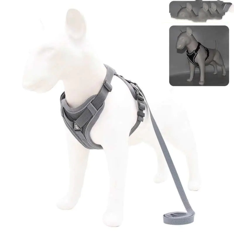 Anti-Strike Pet Vest Harness for Small/Medium Dogs